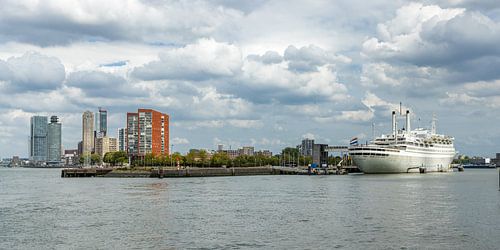 Skyline Rotterdam 027