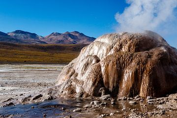 Landschap met geisers van El Tatio in het Andes gebergte, Chili, Zuid-Amerika van WorldWidePhotoWeb