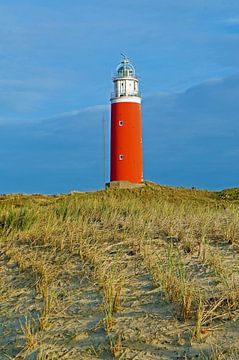 Texels Eierland-Turm in der Dünenlandschaft von Judith Cool