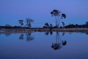 Reflet Loonse et Drunense Dunes sur Zwoele Plaatjes