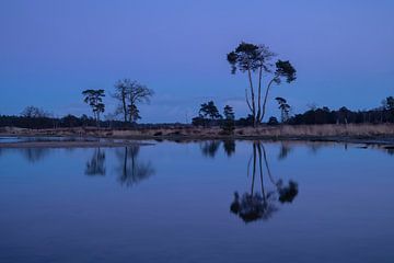 Reflection Loonse and Drunense Dunes by Zwoele Plaatjes