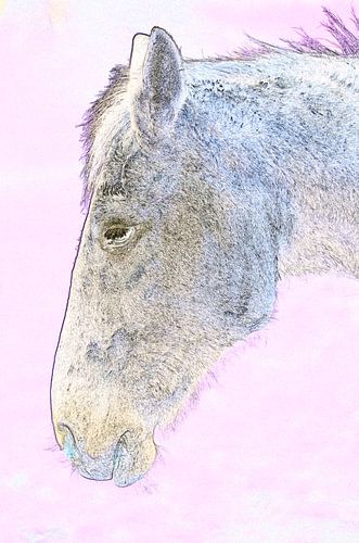 Cheval blanc en rose