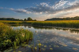 Paysage estival pittoresque avec des fleurs et de l'eau