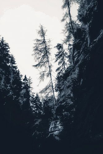 Kirnitzschtal tussen rotsen en zandstenen