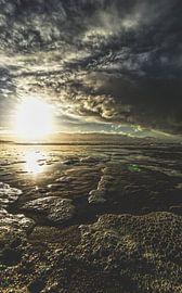 Plage Noordwijk sur Franklin