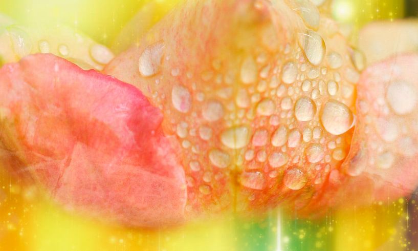 wet colours by Ribbi
