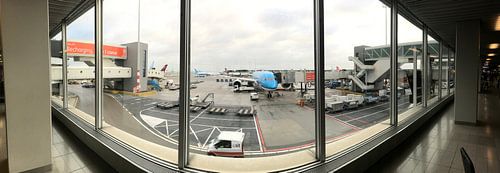 Boeing 787-9 Dreamliner KLM