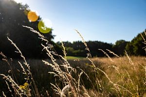 Limburgse heuvel landschap met prachtige zonnestraal reflectie