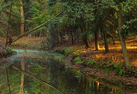 Fraeylemaborg country estate - Slochteren (Netherlands)