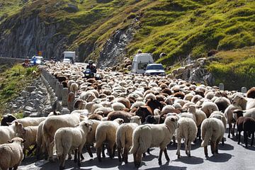 Traffic jams on the Furka pass by Kees van den Burg