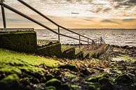 Dive spot Zeeland - Gevelingenmeer by Mascha Boot thumbnail