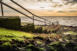 Spot de plongée Zeeland - Gevelingenmeer