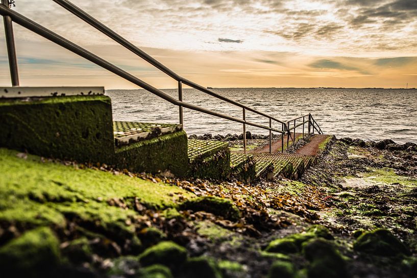 Dive spot Zeeland - Gevelingenmeer by Mascha Boot