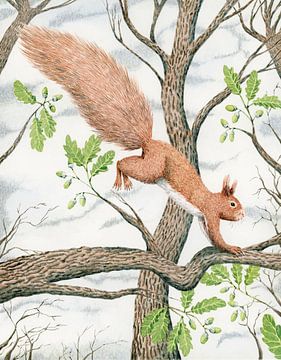 Ode to the squirrel by Marieke Nelissen