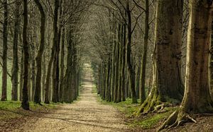 Ein Spaziergang auf dem Anwesen Mariëndaal