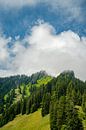 Steineberg of the Nagelfluhkette in summer with low clouds by Leo Schindzielorz thumbnail