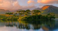 Sonnenuntergang in der Connemara am Derryclare Lough, Irland von Henk Meijer Photography Miniaturansicht