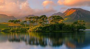 Sonnenuntergang in der Connemara am Derryclare Lough, Irland