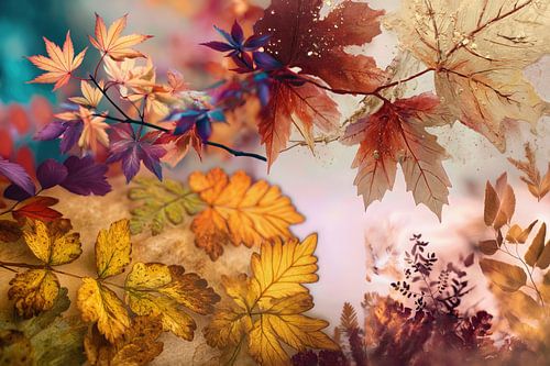 herfst kleur collage