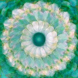 Fresh start by christine b-b müller