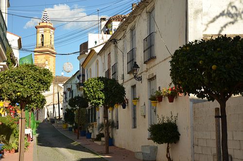 Gezellig straatje met de  gele bloempotjes in Estepona.