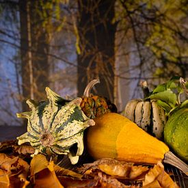 Stilleven Pompoenen in de herfst van Gaby Hendriksz