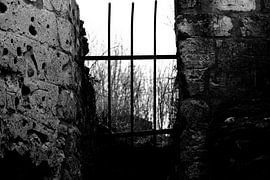 Gevangen by Joyce Pals