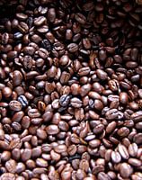 Vers gebrande koffie
