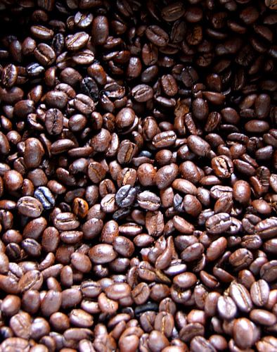 Vers gebrande koffie