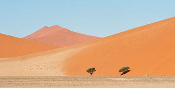 Namibië, woestijn , Sossusvlei