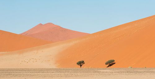 Namibie, désert, Sossusvlei