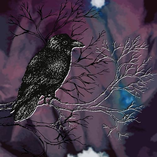 Raaf donkere pentekening