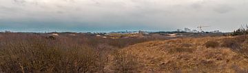 Panorama, uitzicht op Noordwijk vanuit duinen van Yanuschka Fotografie | Noordwijk
