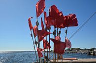 rote Fahnen am Fischerboot, Vitte, Hiddensee von GH Foto & Artdesign Miniaturansicht