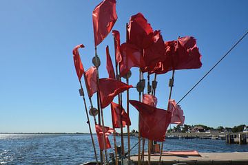 drapeaux rouges au bateau de pêche, Vitte, Hiddensee