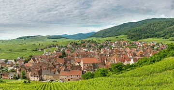 Ein Dorf inmitten der Weinberge, Riquewihr, Elsass, Frankreich von Rene van der Meer