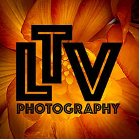 Laurents ten Voorde profielfoto