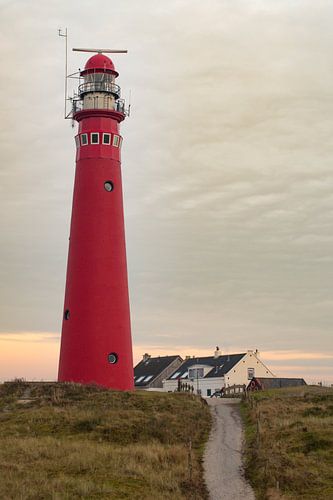 Phare dans les dunes à l'île de Schiermonnikoog dans les dunes
