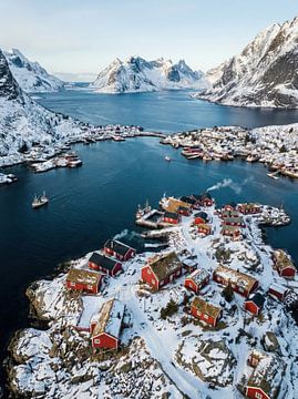 Traditional red rorbuer with snow in lofoten fjord village by Markus Gann