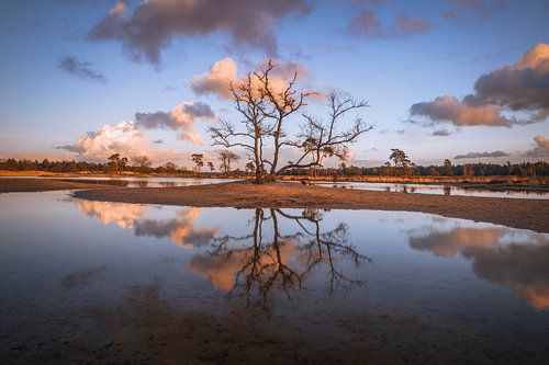 Pastelkleurige Reflecties op de Zandvlakte