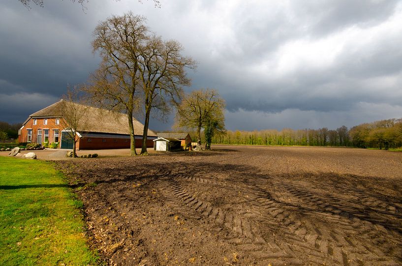 Farm in Drenthe by Remco Swiers
