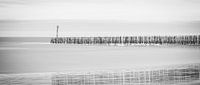sea of poles
