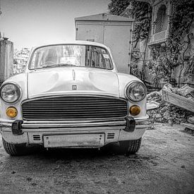 The Ambassador by Rene van Heerdt