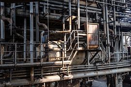 Sunbeam by Lieke Roodbol