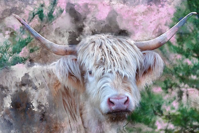 Aquarel blonde Schotse Hooglander koe van gea strucks