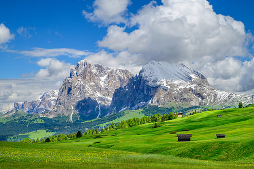 Panorama van de Seiser Alm of Alpe di Siusi in de Dolomieten tijdens de lente