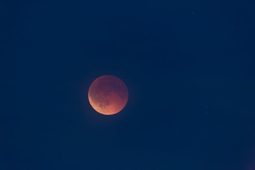 Totale maansverduistering en bloedmaan van Martin Steiner