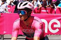 Remco Evenepoel roze trui Giro 2023 van FreddyFinn thumbnail