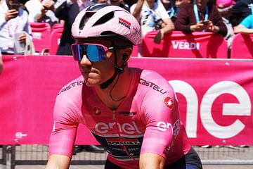 Remco Evenepoel roze trui Giro 2023 van FreddyFinn