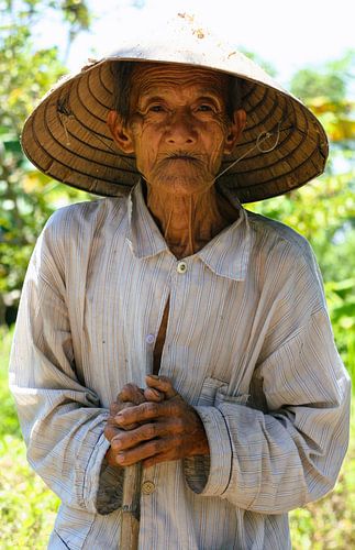 Old man in My Lai, Vietnam
